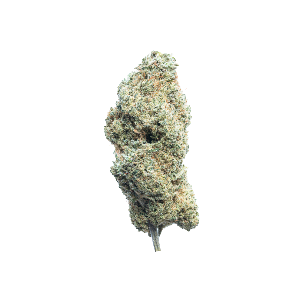 Aleph Matterhorn 25/1