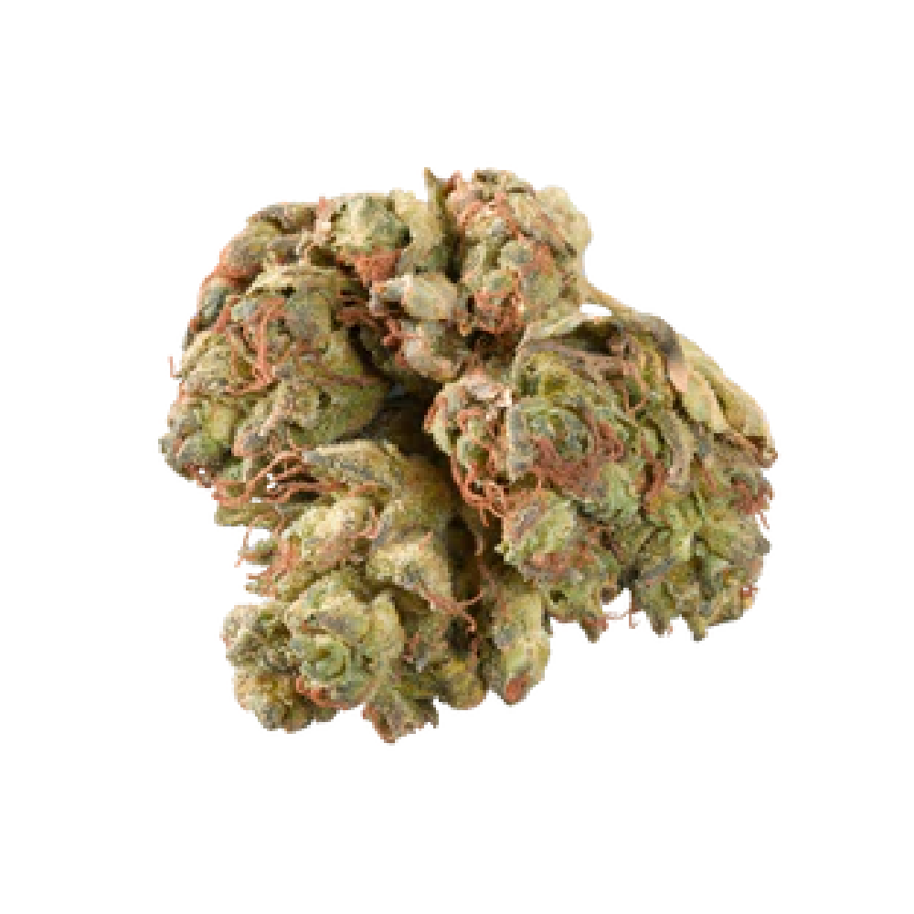 Canopy AKH 24