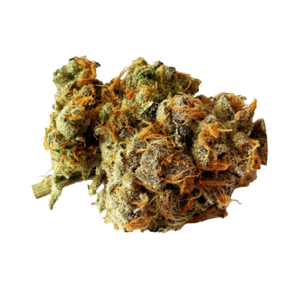 Weeco 24/1