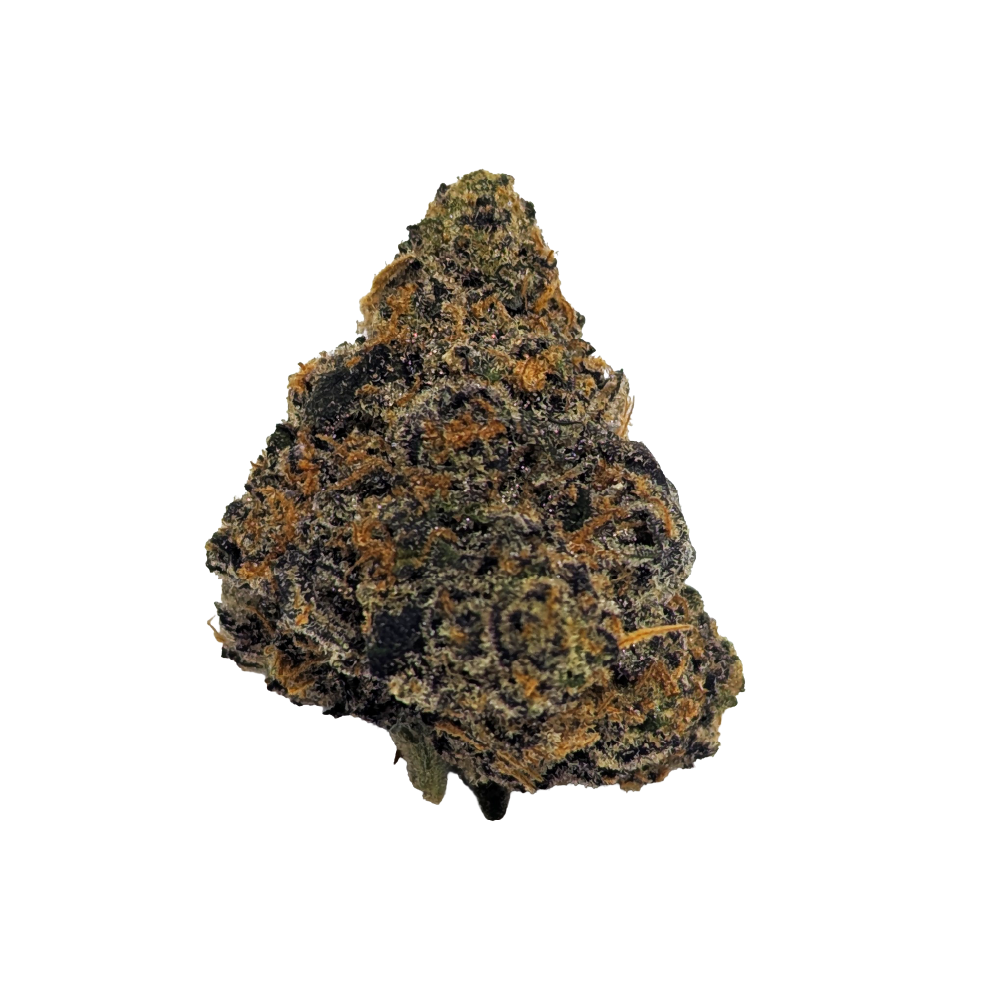 420 Evolution 27/1