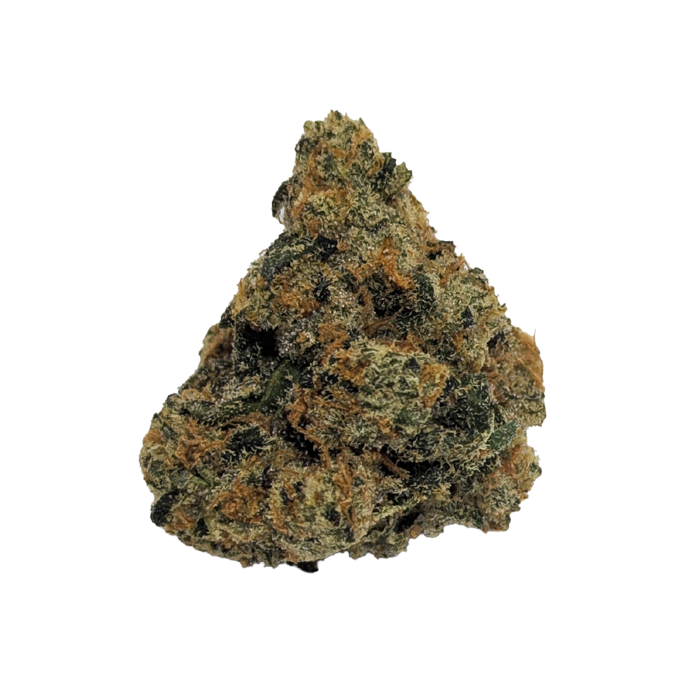 420 Evolution 27/1