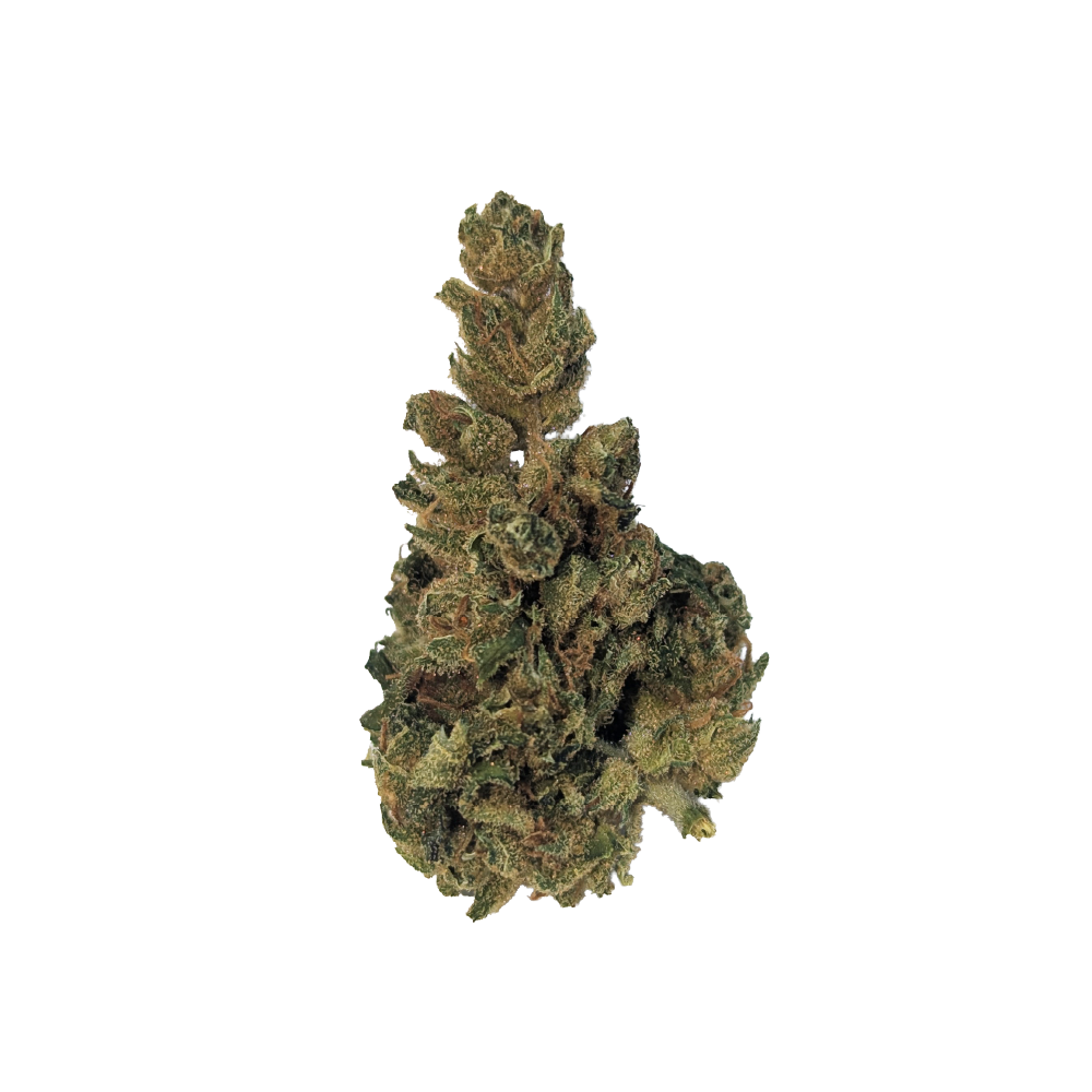 Tilray 25/1 No. 4